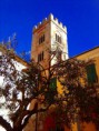 /album/galleria-foto-loano/toirano-5-jpg/